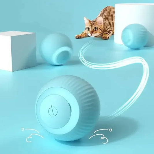 Brinquedo Interativo para Gatos