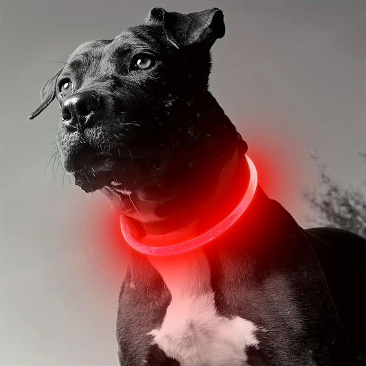 Coleira de Led para Pets